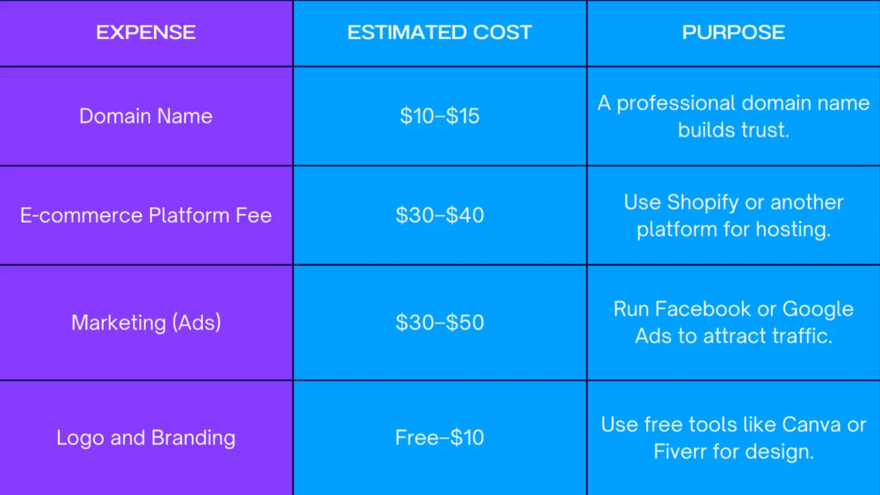 Discover how to allocate a $100 budget effectively for your dropshipping business, including expenses for domain, platform fees, marketing, and branding.